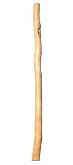 Natural Finish Didgeridoo (TW944)